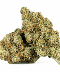 Motor Breath #15 (AAAA)